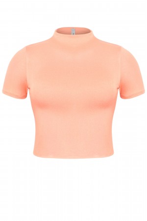 SHORT SLEEVE MOCK NECK BASIC CROP TOP